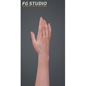 SGD STUDIO - FG004 FIGHTING GIRL (BIOHAZARD Resident Evil: Ada Wong)